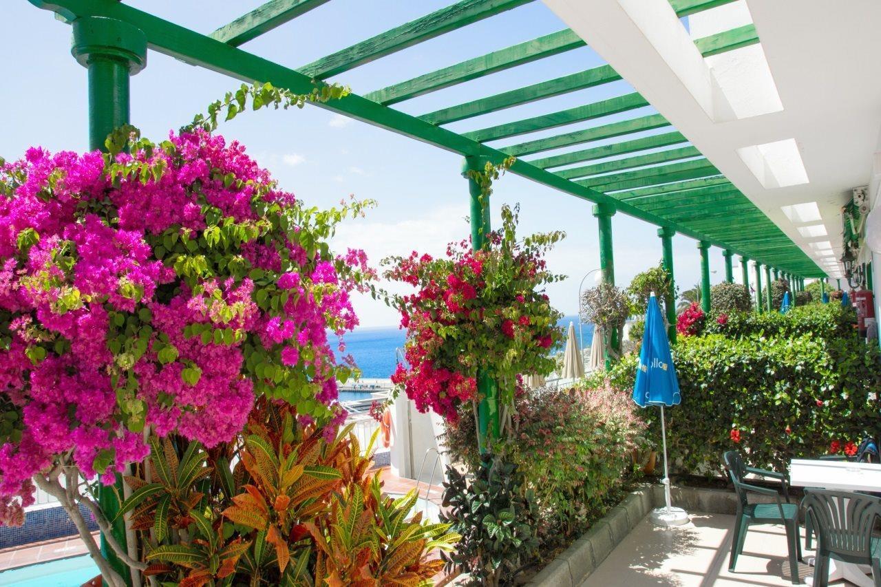 Apartamentos Los Veleros Puerto Rico  Dış mekan fotoğraf